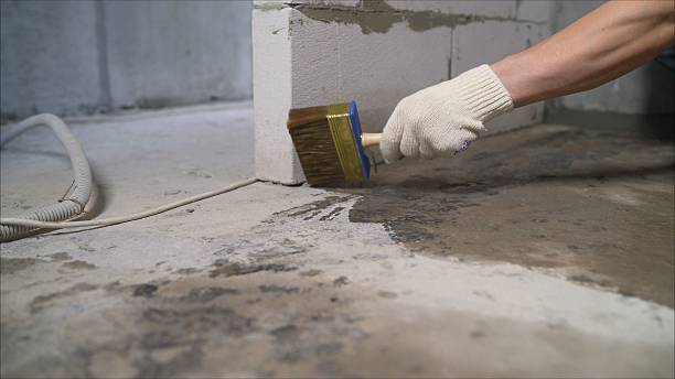 SJ Waterproofing Pros Sump Pump Installation coverage map for Jackson, AL and surrounding area